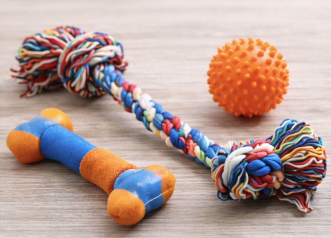 Dog Toys